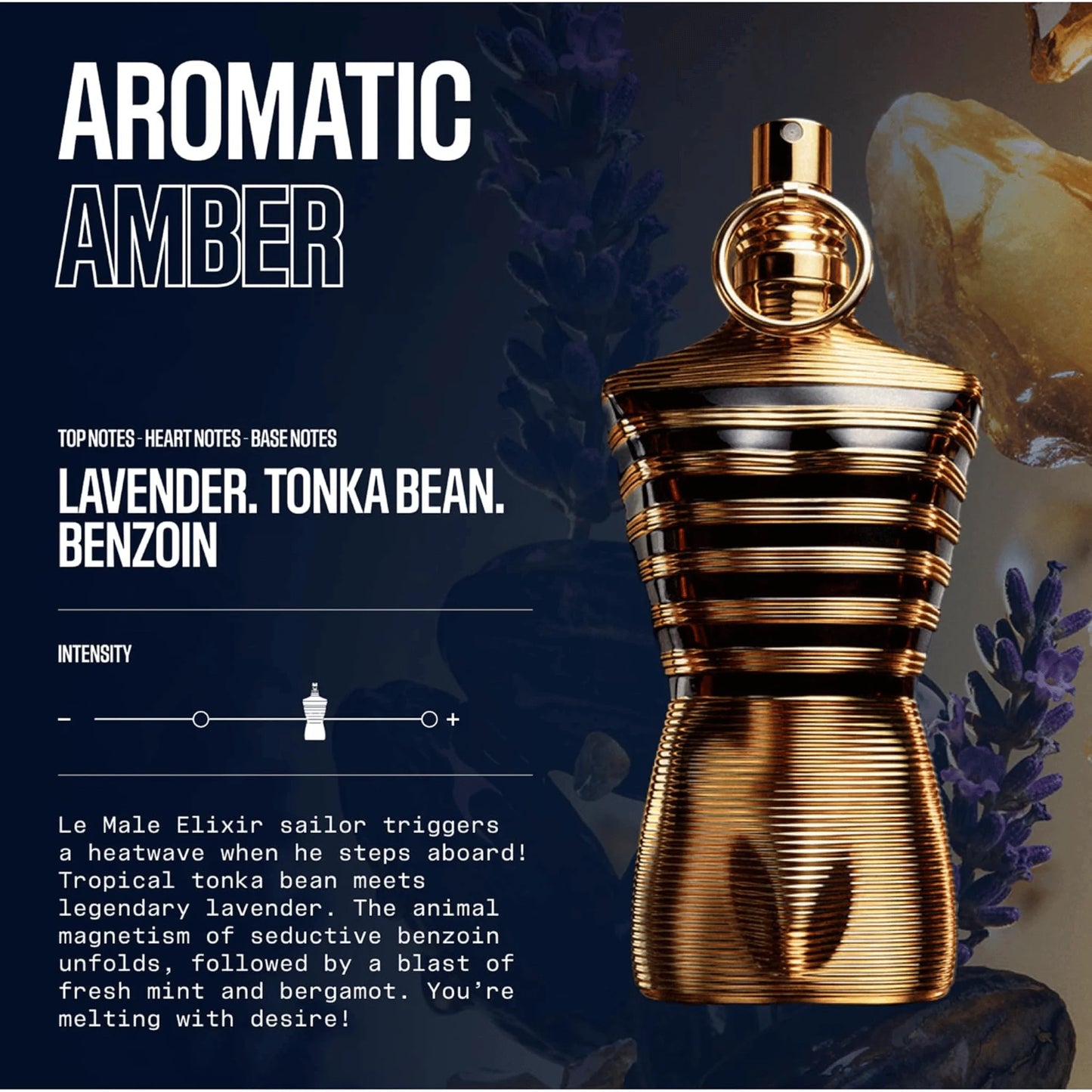 Aromatic Amber fragrance bottle in a metallic gold gradient finish, displayed on a dark background with lavender sprigs and text detailing the scent notes: Lavender, Tonka Bean, and Benzoin.