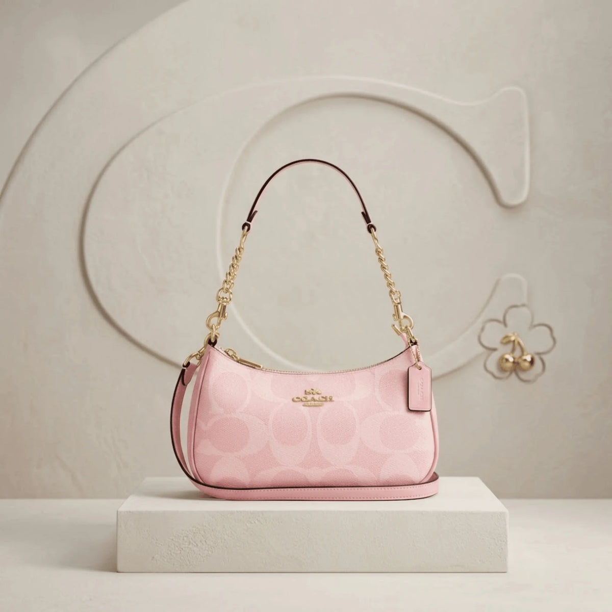 Coach Teri Shoulder Bag CAL51 in Signature Coated Canvas