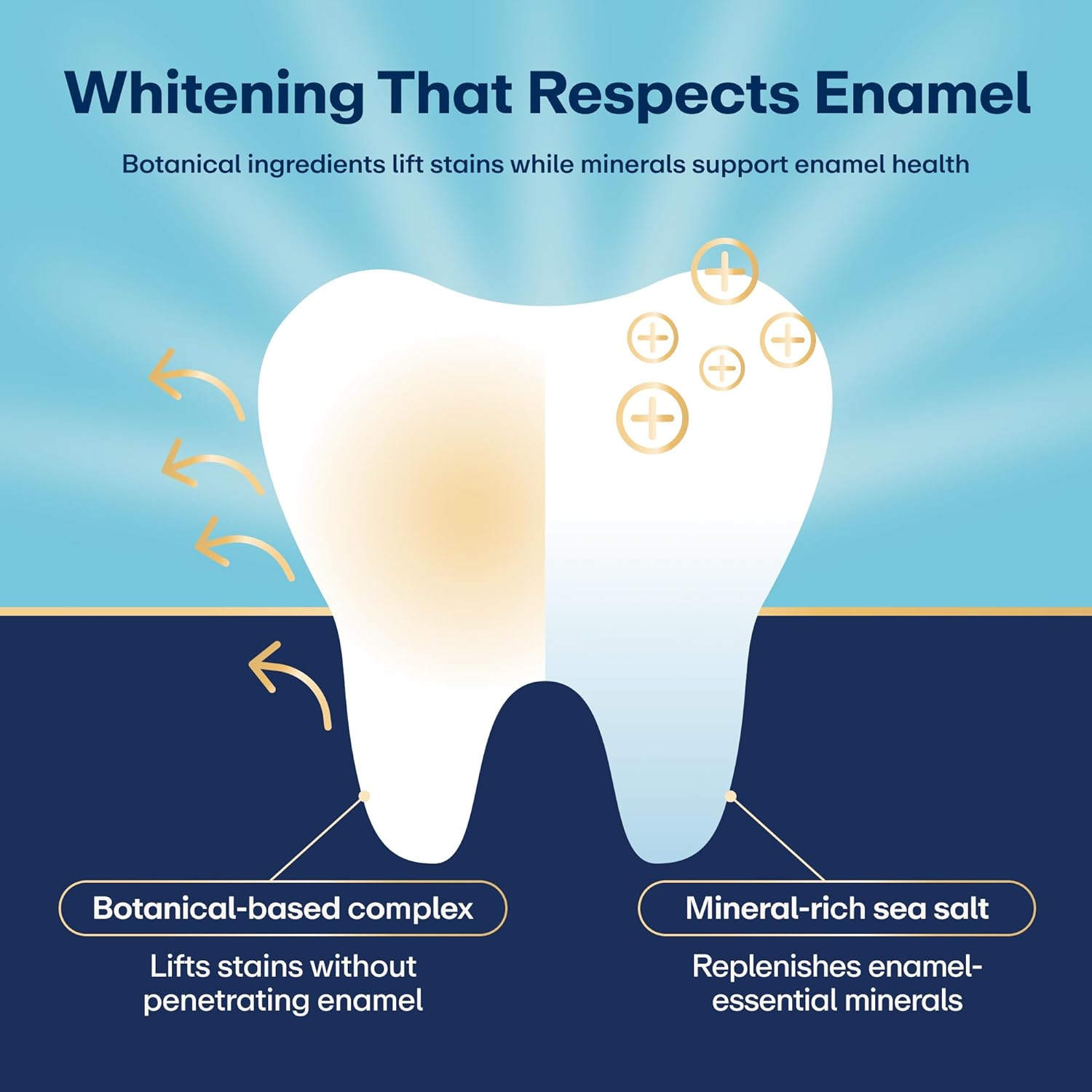 Diagram of a tooth with botanical-based complex and mineral-rich sea salt highlighting dental care benefits.