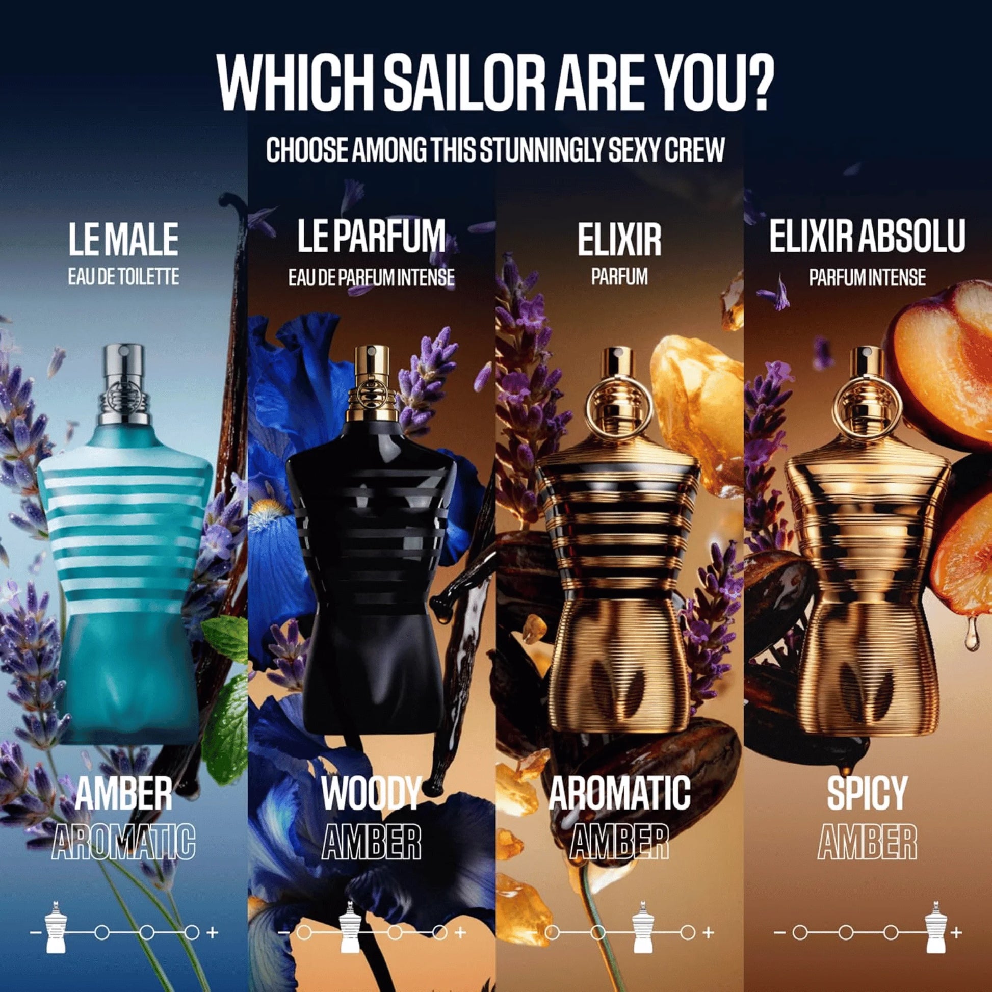 A promotional graphic for a fragrance collection titled 'WHICH SAILOR ARE YOU?' showing four perfume bottles labeled Le Male, Le Parfum, Elixir, and Elixir Absolu with scent names Amber, Woody Amber, Aromatic Amber, and Spicy Amber.